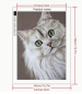 Preview: Diamond Painting Sibirische Katze